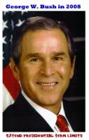 George W. Bush in 2008